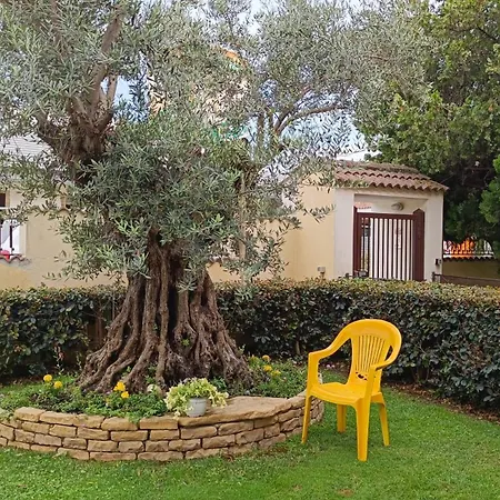 بيت ضيافة Rome Charm House